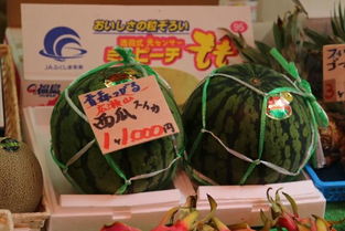 國(guó)產(chǎn)水果的文化價(jià)值 中日消費(fèi)心理的分野